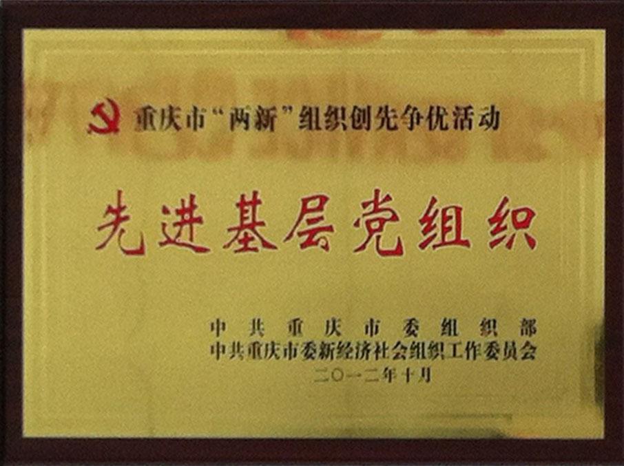 重庆市物业管理行业唯一“两新”先进基层党组织